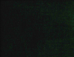 Norbar Fabric Belmont Jungle 338