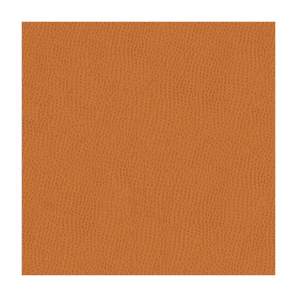Belus-212 by Kravet Contract Designer Fabric POLY VINYL CHLORIDE - 100% Taiwan HEAVY Horizontal: and Vertical: 54 - Swanky Fabrics -