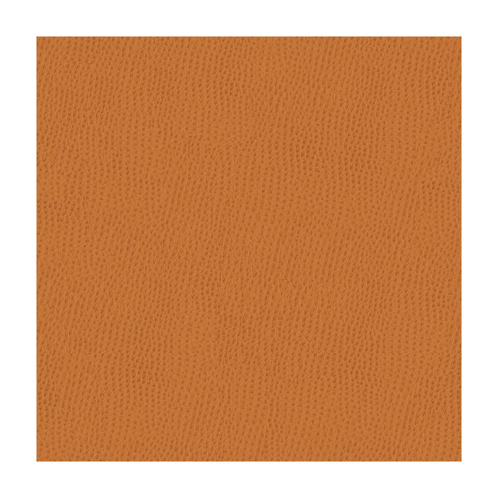 Kravet Contract Belus-212 by Kravet Contract Fabric Kravet Contract Fabric Kravet Contract Belus-212Fabric POLY VINYL CHLORIDE - 100% Taiwan </p><p>Repeat: H: , V: 54 - Fabric Carolina -