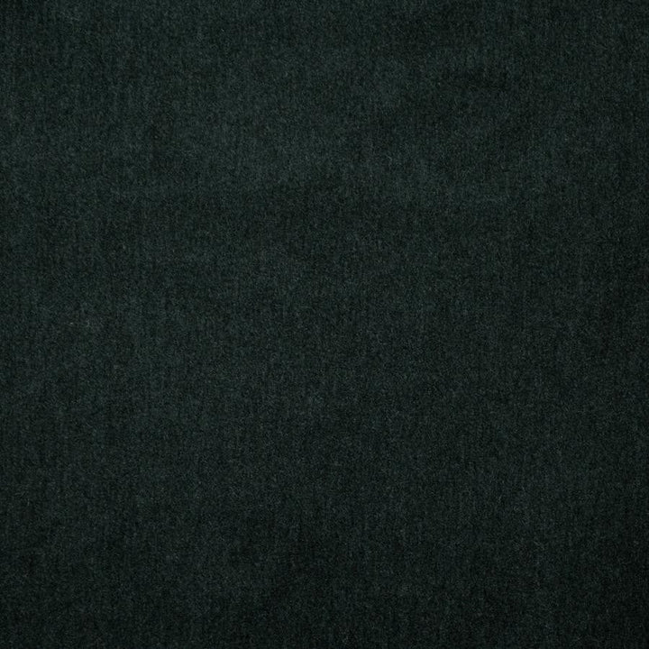 Belluno # 102 Caviar by Maxwell Designer Fabric Telafina Season Xvi 50% MOHAIR
50% ACRYLIC TURKEY 55.5" - Swanky Fabrics -