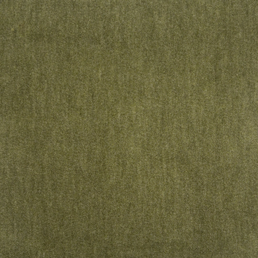 Belluno # 203 Palm by Maxwell Designer Fabric Telafina Season Xviii 50% MOHAIR 50% ACRYLIC TURKEY 55.5" - Swanky Fabrics -