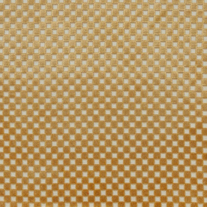 Bolzano # 636 Midas by Maxwell Designer Fabric Performance Cut Velvets 72% VISCOSE
23% POLYESTER
5% COTTON BELGIUM V-0.9"H- 0.8" 55" - Swanky Fabrics -