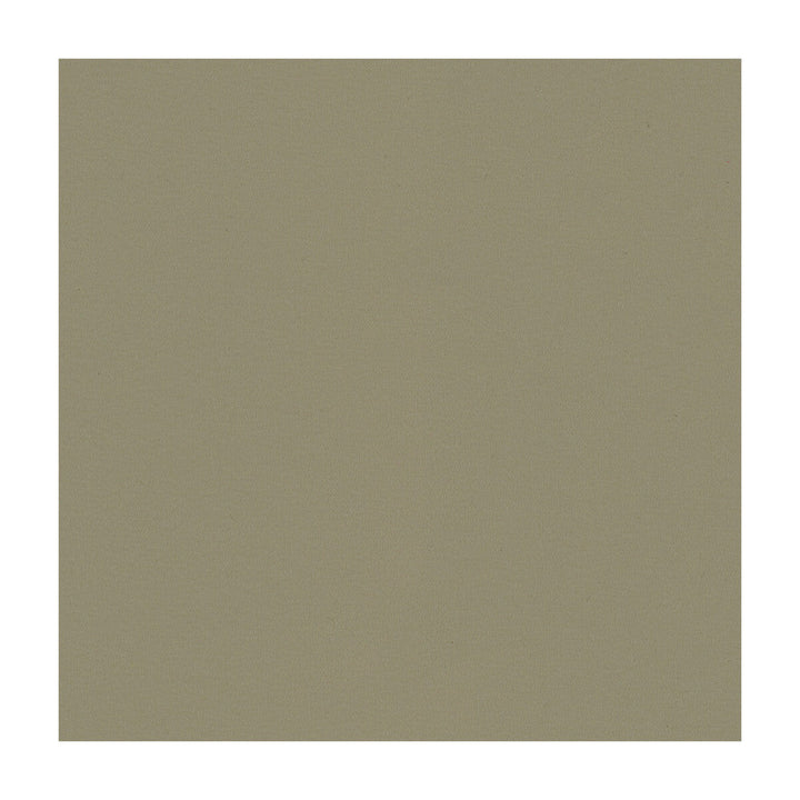 Berta-11 by Kravet Contract Designer Fabric - PVC - ARTIFICIAL LEATHER - 100% Taiwan HEAVY Horizontal: - and Vertical: - 54 - Swanky Fabrics -