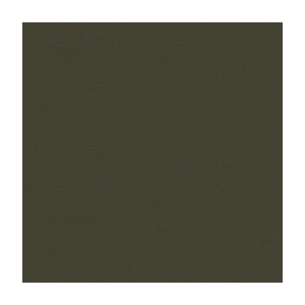 Kravet Contract Berta-21 by Kravet Contract Fabric Kravet Contract Fabric Kravet Contract Berta-21Fabric PVC - ARTIFICIAL LEATHER - 100% Taiwan </p><p>Repeat: H: , V: 54 - Fabric Carolina -