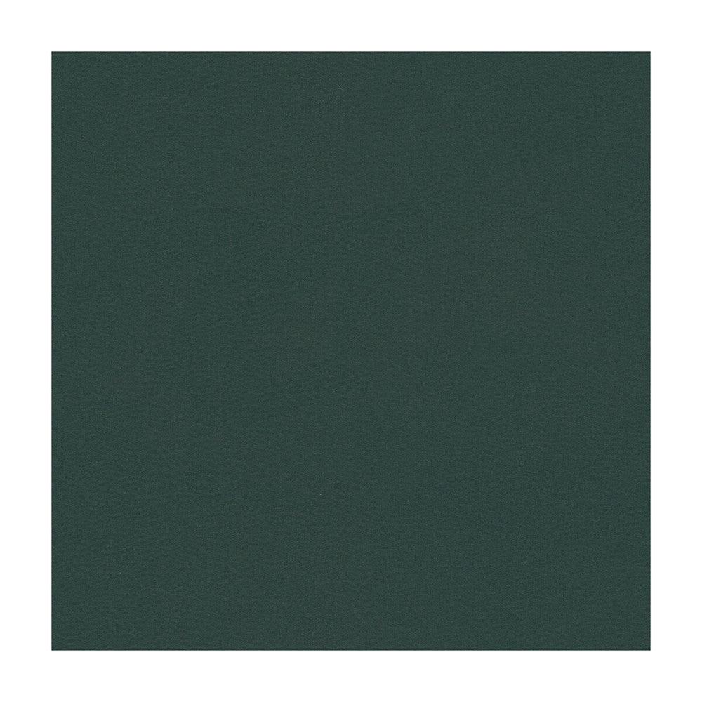 Berta-5 by Kravet Contract Designer Fabric PVC - ARTIFICIAL LEATHER - 100% Taiwan HEAVY Horizontal: and Vertical: 54 - Swanky Fabrics -