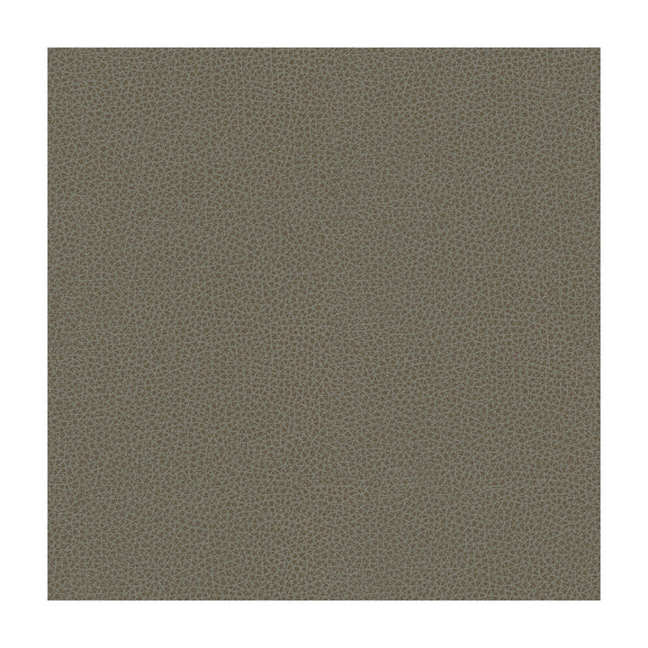 Bess-11 by Kravet Contract Designer Fabric POLY VINYL CHLORIDE - 100% Taiwan HEAVY Horizontal: and Vertical: 54 - Swanky Fabrics -