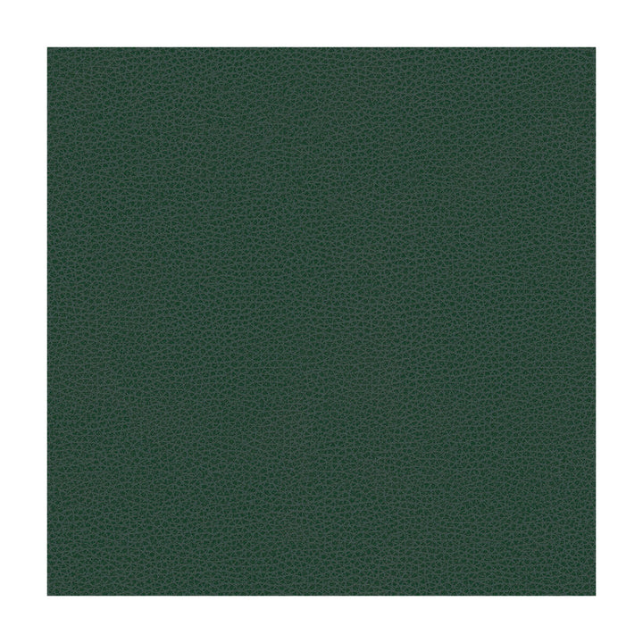 Kravet Contract Bess-5 by Kravet Contract Fabric Kravet Contract Fabric Kravet Contract Bess-5Fabric POLY VINYL CHLORIDE - 100% Taiwan </p><p>Repeat: H: , V: 54 - Fabric Carolina -