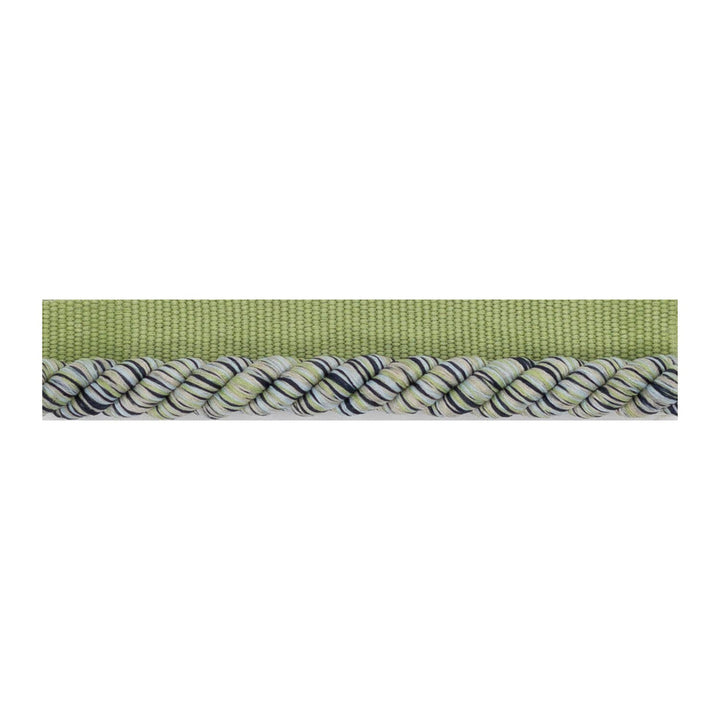 Bestow Cord 5 Jungle by Stout Trim Stout Trim Bestow Cord 5 JungleTrim SMALL WONDERS TRIM 54%COT 46%POL CHINA </p><p>Repeat: H: 0.375, V: 0.000 0.38 in - Fabric Carolina -