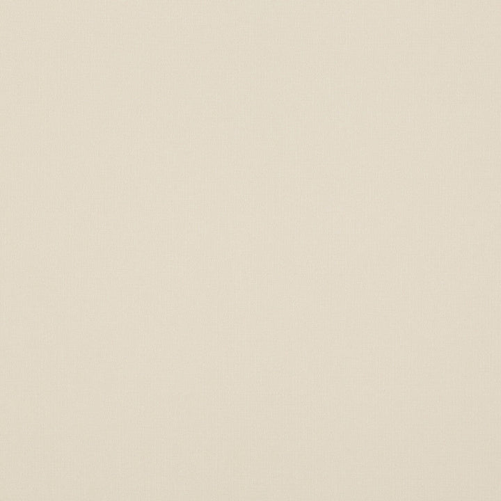 Blizzard Ivory by G P & J Baker Designer Fabric ESSENTIAL COLOURS II VISCOSE - 45%;COTTON - 35%;LINEN - 16%;POLYESTER - 4% Italy HEAVY Horizontal: and Vertical: 53.978 - Swanky Fabrics -