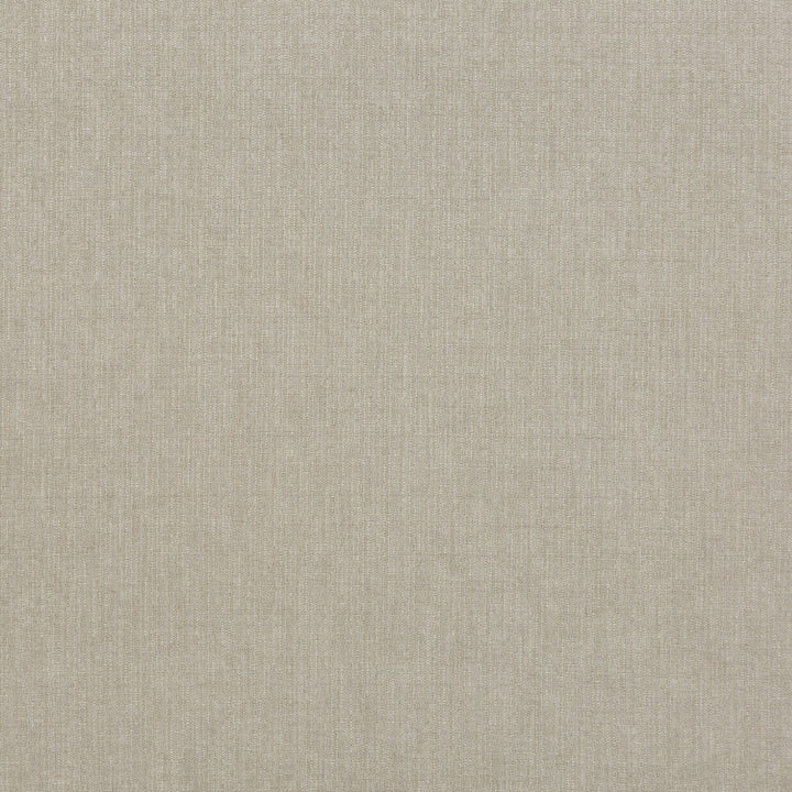 Blizzard Silver by G P & J Baker Designer Fabric ESSENTIAL COLOURS II VISCOSE - 45%;COTTON - 35%;LINEN - 16%;POLYESTER - 4% Italy HEAVY Horizontal: - and Vertical: - 53.978 - Swanky Fabrics -
