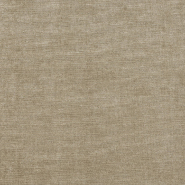 Essential Velvet Oatmeal by G P & J Baker Designer Fabric ESSENTIAL COLOURS VISCOSE - 51%;COTTON - 40%;POLYESTER - 9% Italy HEAVY Horizontal: and Vertical: 55.16 - Swanky Fabrics -