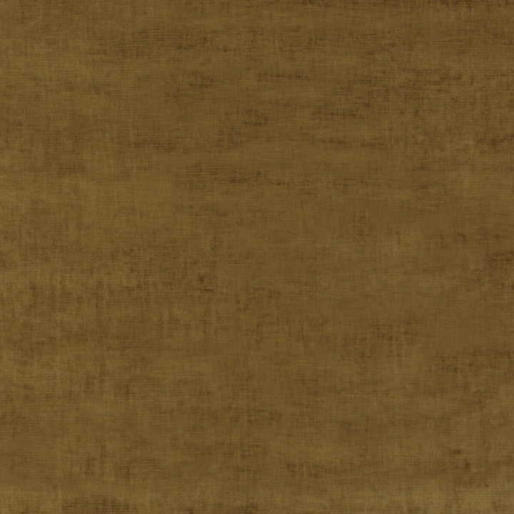 Essential Velvet Bronze by G P & J Baker Designer Fabric ESSENTIAL COLOURS VISCOSE - 51%;COTTON - 40%;POLYESTER - 9% Italy HEAVY Horizontal: and Vertical: 55.16 - Swanky Fabrics -