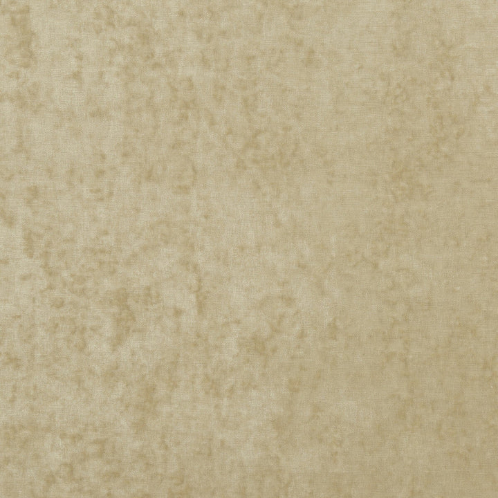 Vintage Velvet Oyster by G P & J Baker Designer Fabric VINTAGE VELVETS POLYESTER - 95%;VISCOSE - 5% Italy HEAVY Horizontal: and Vertical: 53.978 - Swanky Fabrics -