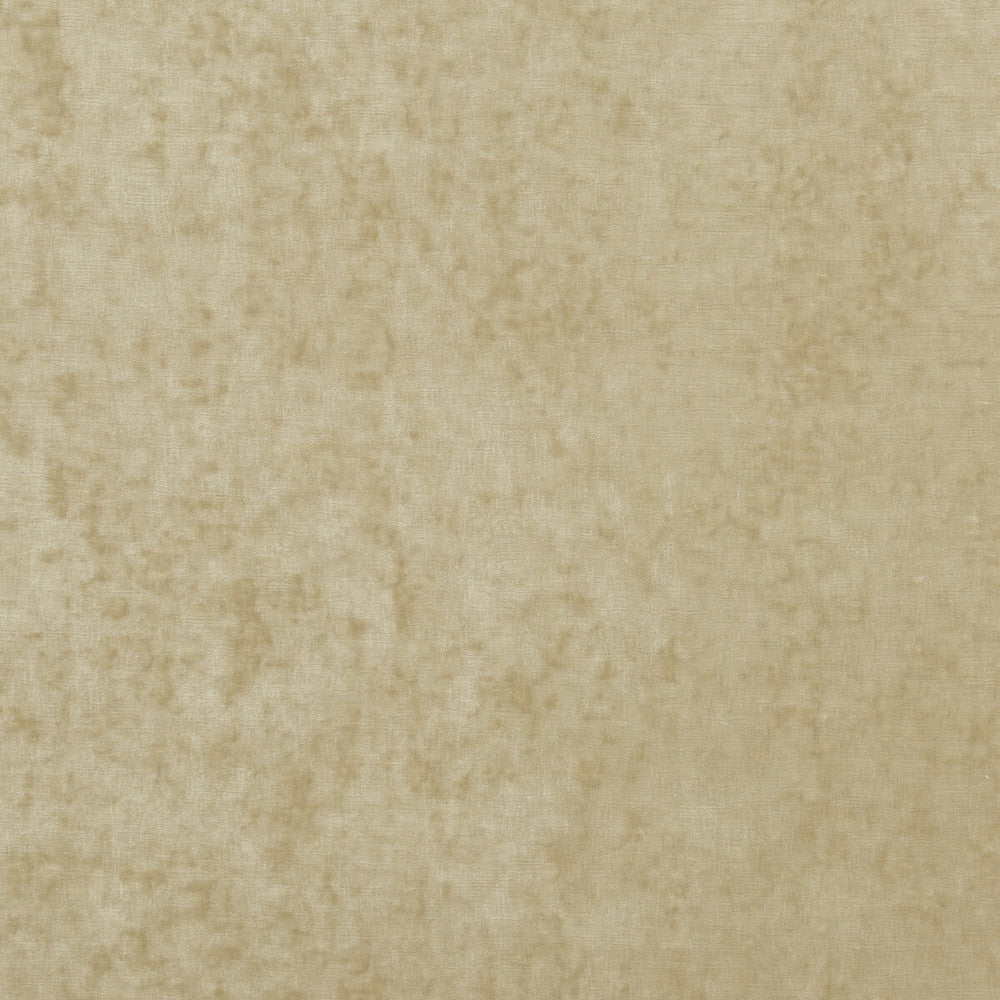 Vintage Velvet Oyster by G P & J Baker Designer Fabric VINTAGE VELVETS POLYESTER - 95%;VISCOSE - 5% Italy HEAVY Horizontal: - and Vertical: - 53.978 - Swanky Fabrics -
