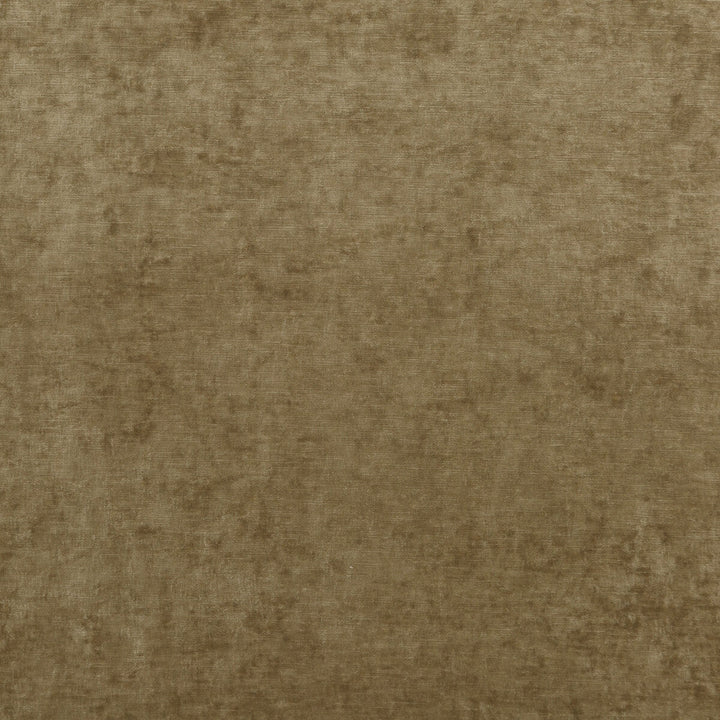 Vintage Velvet Camel by G P & J Baker Fabric G P & J Baker Fabric Vintage Velvet CamelFabric VINTAGE VELVETS POLYESTER - 95%;VISCOSE - 5% Italy </p><p>Repeat: H: , V: 53.978 - Fabric Carolina -