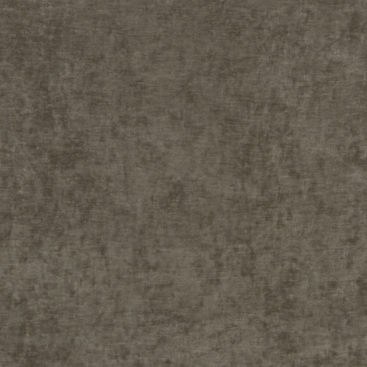 Vintage Velvet Mink by G P & J Baker Designer Fabric VINTAGE VELVETS POLYESTER - 95%;VISCOSE - 5% Italy HEAVY Horizontal: and Vertical: 53.978 - Swanky Fabrics -