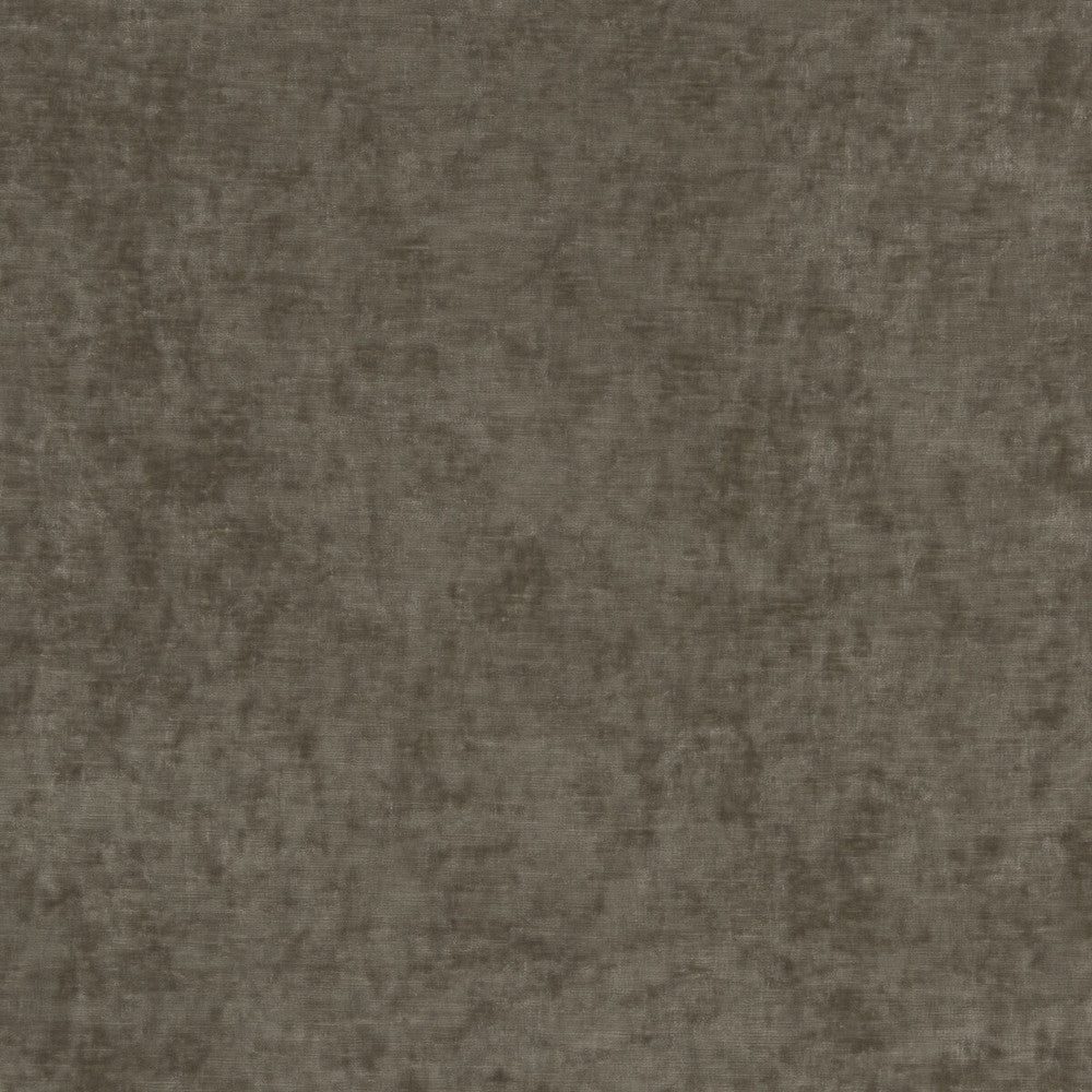 Vintage Velvet Mink by G P & J Baker Designer Fabric VINTAGE VELVETS POLYESTER - 95%;VISCOSE - 5% Italy HEAVY Horizontal: - and Vertical: - 53.978 - Swanky Fabrics -