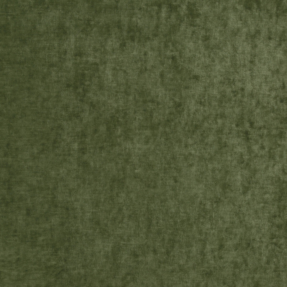 Vintage Velvet Fern by G P & J Baker Designer Fabric VINTAGE VELVETS POLYESTER - 95%;VISCOSE - 5% Italy HEAVY Horizontal: and Vertical: 53.978 - Swanky Fabrics -