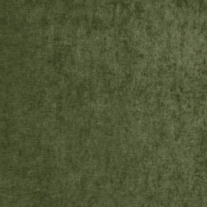 Vintage Velvet Fern by G P & J Baker Fabric G P & J Baker Fabric Vintage Velvet FernFabric VINTAGE VELVETS POLYESTER - 95%;VISCOSE - 5% Italy </p><p>Repeat: H: , V: 53.978 - Fabric Carolina -
