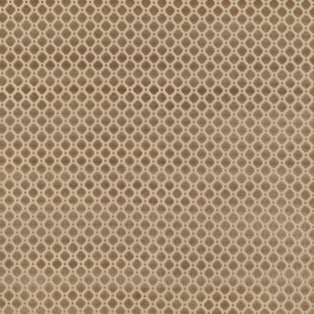 Indus Velvet Oyster by G P & J Baker Designer Fabric COROMANDEL VELVETS VISCOSE - 100% Belgium HEAVY Horizontal: 1.379 and Vertical: 1.379 53.978 - Swanky Fabrics -