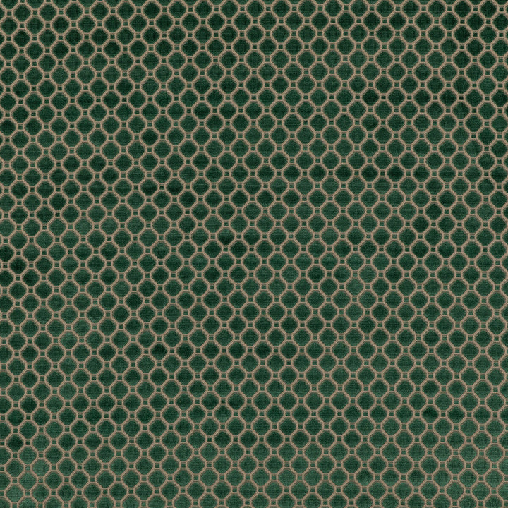 Indus Velvet Emerald by G P & J Baker Designer Fabric COROMANDEL VELVETS VISCOSE - 100% Belgium HEAVY Horizontal: 1.379 and Vertical: 1.379 53.978 - Swanky Fabrics -