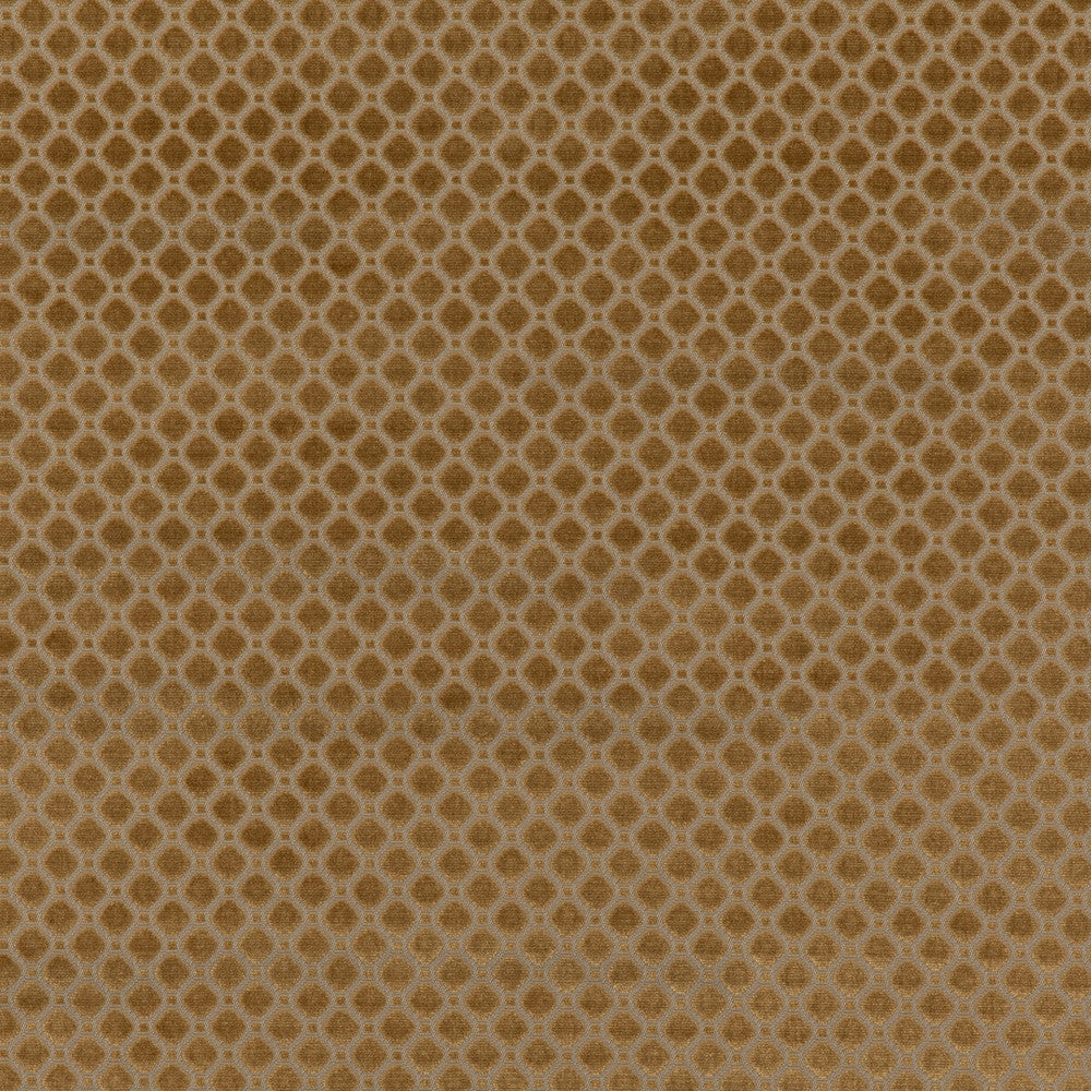 Indus Velvet Bronze by G P & J Baker Designer Fabric COROMANDEL VELVETS VISCOSE - 100% Belgium HEAVY Horizontal: 1.379 and Vertical: 1.379 53.978 - Swanky Fabrics -