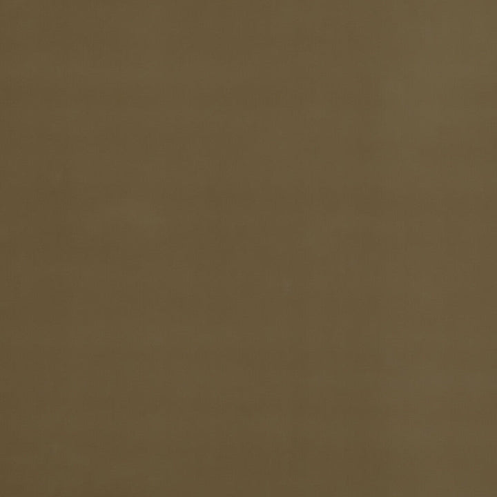Baker House Velvet Camel by G P & J Baker Designer Fabric BAKER HOUSE VELVET COTTON - 89%;POLYESTER - 11% Italy HEAVY Horizontal: - and Vertical: - 55.16 - Swanky Fabrics -
