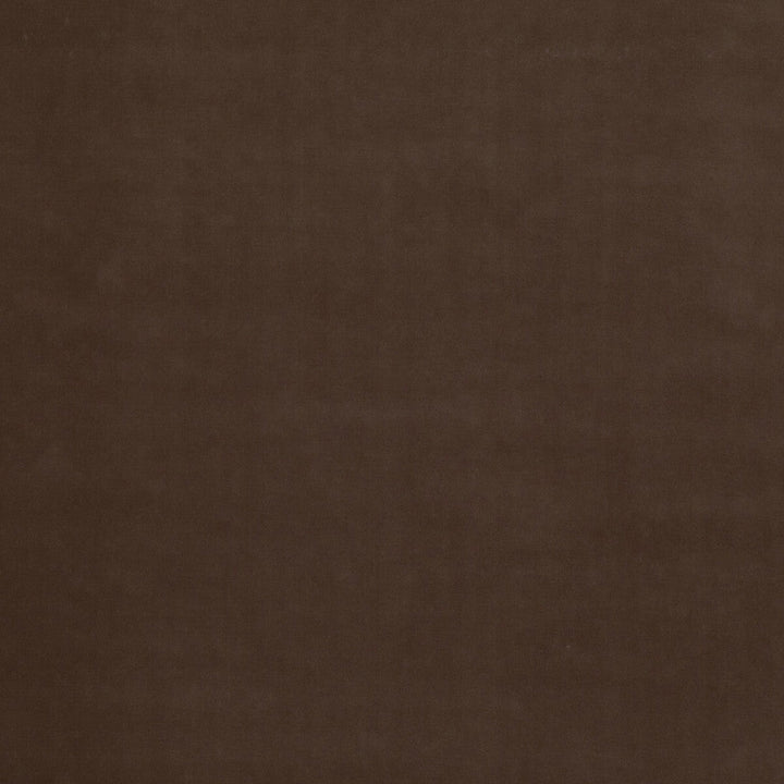 Baker House Velvet Mink by G P & J Baker Designer Fabric BAKER HOUSE VELVET COTTON - 89%;POLYESTER - 11% Italy HEAVY Horizontal: and Vertical: 55.16 - Swanky Fabrics -