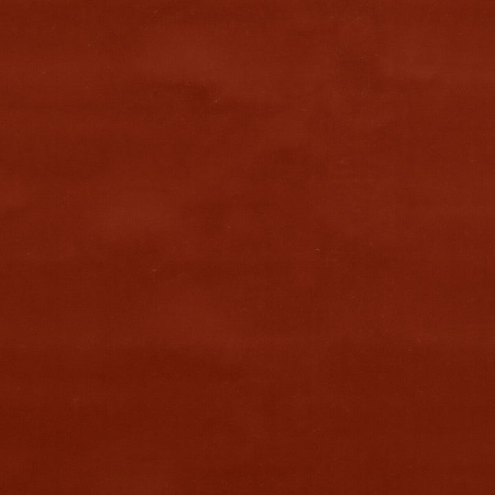 Baker House Velvet Coral by G P & J Baker Designer Fabric BAKER HOUSE VELVET COTTON - 89%;POLYESTER - 11% Italy HEAVY Horizontal: and Vertical: 55.16 - Swanky Fabrics -