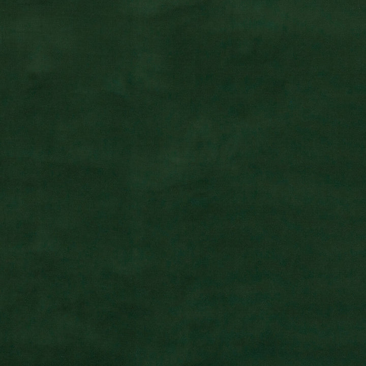 Baker House Velvet Forest by G P & J Baker Designer Fabric BAKER HOUSE VELVET COTTON - 89%;POLYESTER - 11% Italy HEAVY Horizontal: - and Vertical: - 55.16 - Swanky Fabrics -