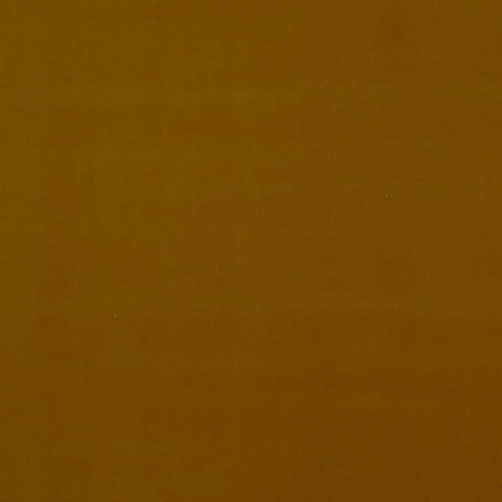 Baker House Velvet Ochre by G P & J Baker Designer Fabric BAKER HOUSE VELVET COTTON - 89%;POLYESTER - 11% Italy HEAVY Horizontal: - and Vertical: - 55.16 - Swanky Fabrics -