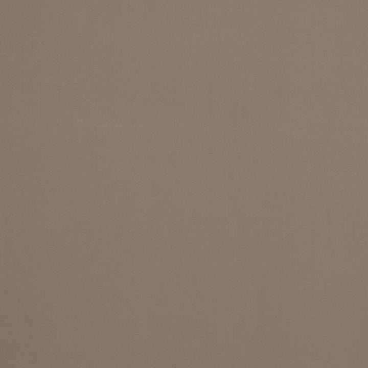 Baker House Velvet Dove by G P & J Baker Designer Fabric BAKER HOUSE VELVET COTTON - 89%;POLYESTER - 11% Italy HEAVY Horizontal: and Vertical: 55.16 - Swanky Fabrics -