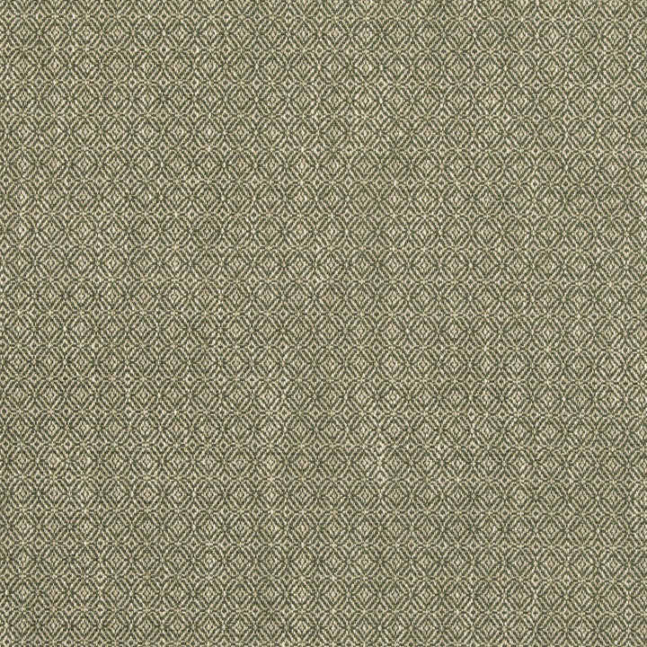 Kenton Green by G P & J Baker Designer Fabric ESSENTIAL COLOURS II VISCOSE - 60%;COTTON - 18%;POLYESTER - 12%;LINEN - 9%;SILK - 1% Italy HEAVY Horizontal: 0.985 and Vertical: 0.985 55.16 - Swanky Fabrics -