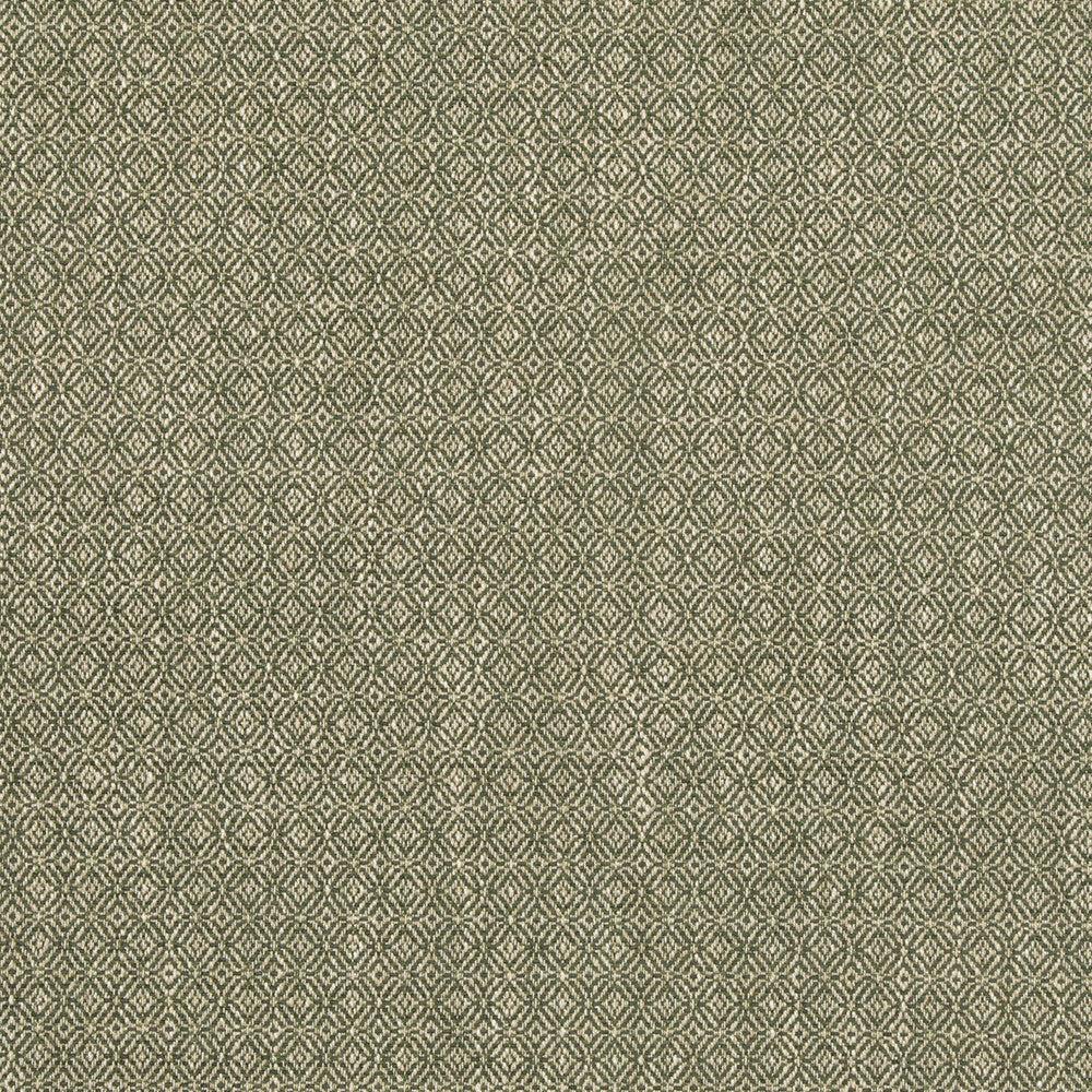 Kenton Green by G P & J Baker Designer Fabric ESSENTIAL COLOURS II VISCOSE - 60%;COTTON - 18%;POLYESTER - 12%;LINEN - 9%;SILK - 1% Italy HEAVY Horizontal: 0.985 and Vertical: 0.985 55.16 - Swanky Fabrics -