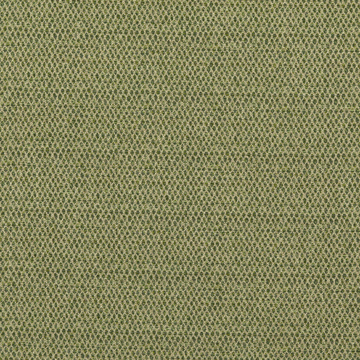 Pednor Green by G P & J Baker Designer Fabric ESSENTIAL COLOURS II VISCOSE - 45%;COTTON - 19%;POLYESTER - 14%;ACRYLIC - 11%;LINEN - 11% Italy Horizontal: and Vertical: 54.766 - Swanky Fabrics -