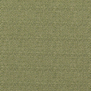 G P & J Baker Fabric Pednor Green