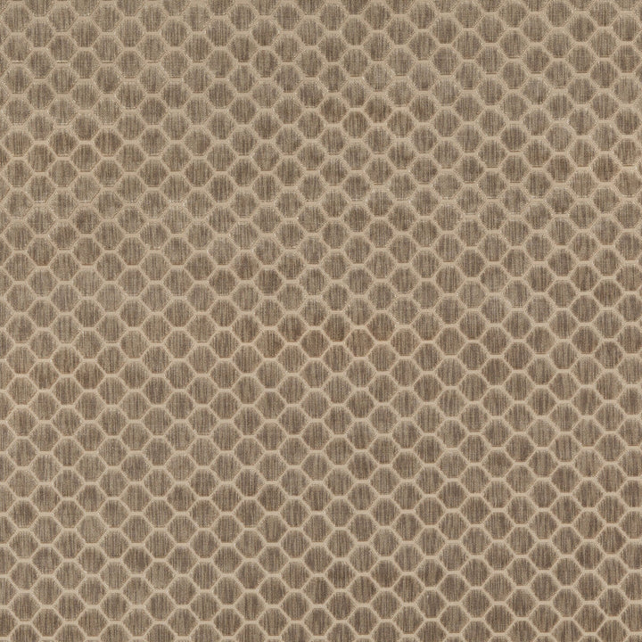 Swanbourne Mink by G P & J Baker Designer Fabric ESSENTIAL COLOURS II VISCOSE - 64%;COTTON - 19%;POLYESTER - 17% Belgium HEAVY Horizontal: 1.773 and Vertical: 1.182 54.372 - Swanky Fabrics -