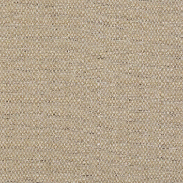 Pentridge Sand by G P & J Baker Fabric G P & J Baker Fabric Pentridge SandFabric BAKER HOUSE TEXTURES COTTON - 46%;VISCOSE - 32%;LINEN - 18%;POLYESTER - 4% Italy </p><p>Repeat: H: , V: 55.16 - Fabric Carolina -