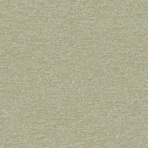 Maxwell Fabric Brava # 824 Moss