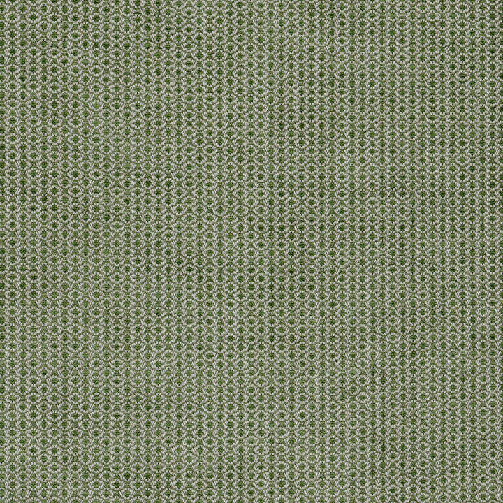 Cosgrove Moss by Lee Jofa Designer Fabric BLITHFIELD VISCOSE - 45%;COTTON - 35%;LINEN - 15%;POLYESTER - 5% Italy HEAVY Horizontal: 0.5 and Vertical: 0.6 55 - Swanky Fabrics -