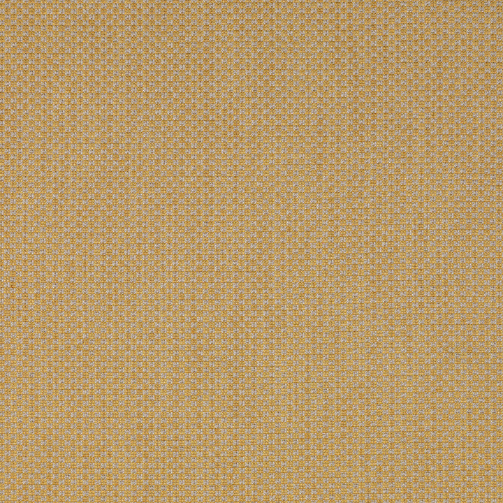 Devon Gold by Lee Jofa Designer Fabric BLITHFIELD LINEN - 36%;COTTON - 30%;VISCOSE - 28%;POLYAMIDE - 6% Italy MEDIUM Horizontal: 0 and Vertical: 0 54.33 - Swanky Fabrics -