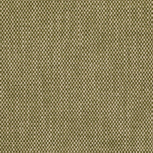 Lee Jofa Fabric Carlton Moss BFC-3692.30.0