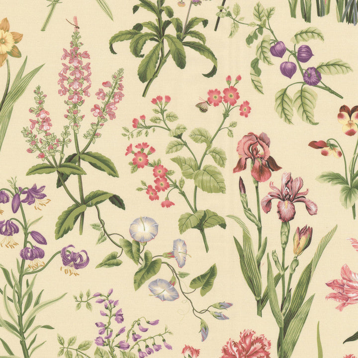 Bianca 1 Hibiscus by Stout Fabric Stout Fabric Bianca 1 HibiscusFabric RAINBOW LIBRARY GINGER/POPPY 100%COT PERU </p><p>Repeat: H: 27.000, V: 27.000 54 in - Fabric Carolina -