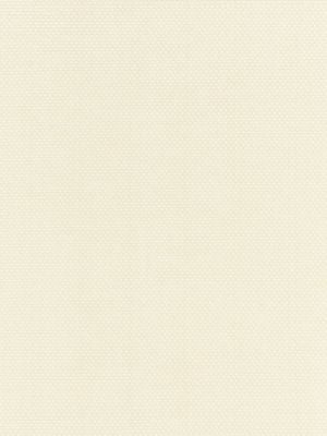 Berkshire Weave Ecru BKK651150001 by Boris Kroll Designer Fabric BORIS KROLL - CALYPSO - CRYPTON HOME 100% COTTON U.S.A. HEAVY DUTY Horizontal: and Vertical: 57.13 - Swanky Fabrics -