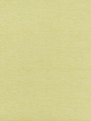 Berkshire Weave Lime BKK651150005 by Boris Kroll Designer Fabric BORIS KROLL - CALYPSO - CRYPTON HOME 100% COTTON U.S.A. HEAVY DUTY Horizontal: and Vertical: 57.13 - Swanky Fabrics -