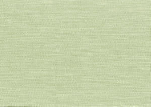 Bliss Kiwi by Norbar Designer Fabric BLISS 100% INHERENTLY FLAME INDIA 54 - Swanky Fabrics -