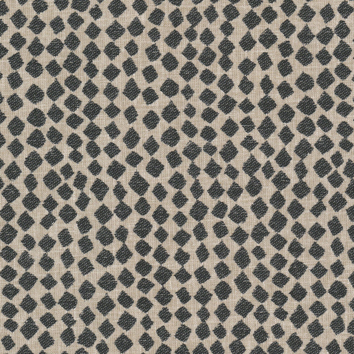 Bluefield 2 Ebony by Stout Designer Fabric RAINBOW LIBRARY ALMOND/GRANITE 67%POL 33%COT INDIA Horizontal: 9.250 and Vertical: 11.375 54 in - Swanky Fabrics -