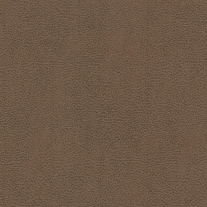 Boscobel 4 Bark by Stout Designer Fabric LEATHER LOOKS III PERFORMANCE 70%PVC 25%POL 5%POU CHINA Horizontal: 0.000 and Vertical: 0.000 54 in - Swanky Fabrics -