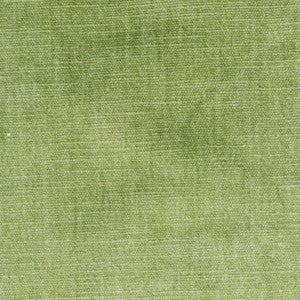 Stout Fabric Bountiful 1 Pistachio