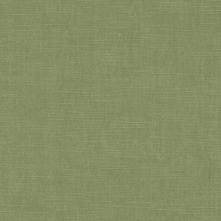 Bountiful 1 Pistachio by Stout Fabric Stout Fabric Bountiful 1 PistachioFabric LIVING IS EASY SPRING/SPA 63%POL 37%COT INDIA </p><p>Repeat: H: 0.000, V: 0.000 54 in - Fabric Carolina -